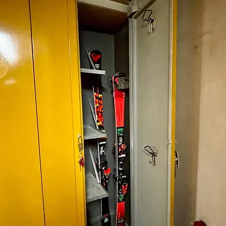 Lys * 그레소니라트리니테