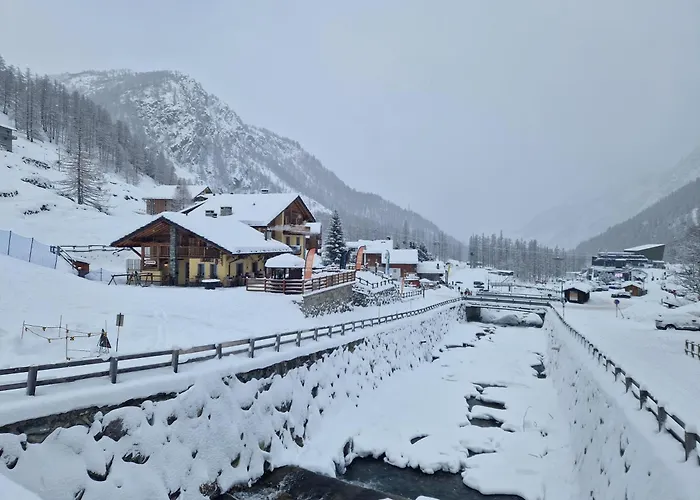 Lys Gressoney-La-Trinite